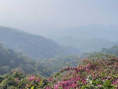 -广州市白云山风景名胜区