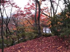 -常寂光寺