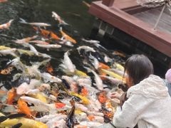 -Waterfall瀑布湾优健源(华侨城店)