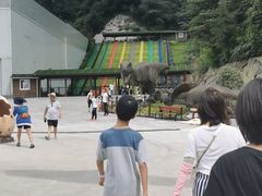 -梦幻奥陶纪景区