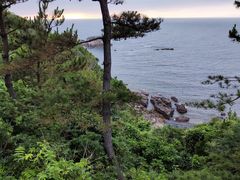 -南紀白浜 浜千鳥の湯 海舟