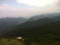 -武陵山森林公园