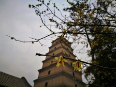 -陕西戏曲非遗博物馆
