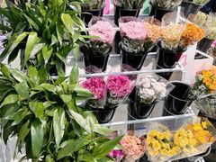 -佳乐家(新华店)