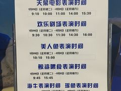 -烟台海昌鲸鲨海洋公园