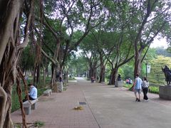 -广州雕塑公园