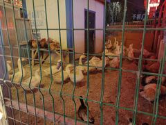 -鱼窝棚柴火铁锅炖(富山屯店)