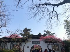 -杭州植物园