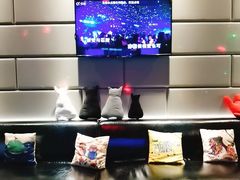 -CIAO·团建聚餐·生日派对轰趴馆(福田店)