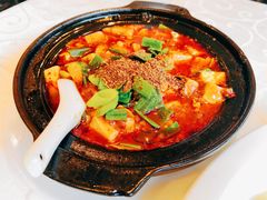 -陈麻婆豆腐总店