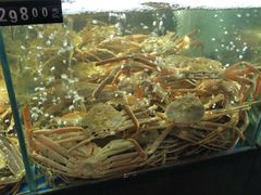 -蟹之国·精品蟹料理(极地店)