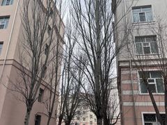 -黑龙江大学