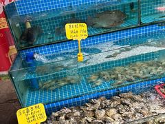 -大岗仙庙烧鸡(花东店)