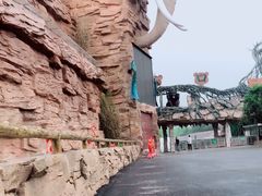 -贵州森林野生动物园