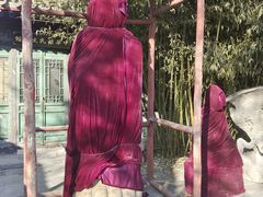 -王家大院