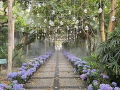 -广西壮族自治区药用植物园