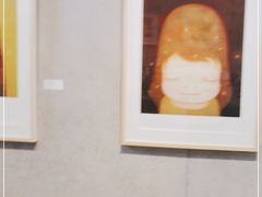-华氏画廊