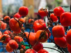 -老街坊美食汇(玉兰大街店)