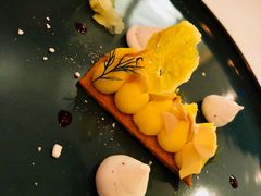 -蝶舍·MAISON PAPILLON