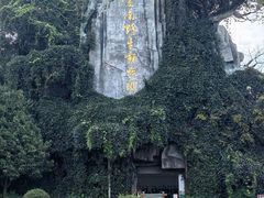 -云南野生动物园