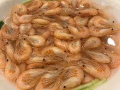 -宝界普菲特湖畔酒店