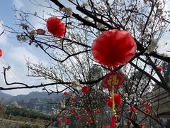 -樱桃山旅游景区