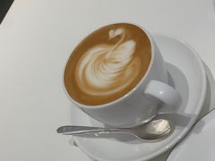 -BLACKSWAN黑天鹅(新希望店)