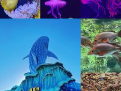 -珠海长隆海洋王国