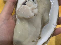 -蚝专家(北滘店)