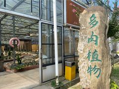 -海上花岛玫瑰园采摘