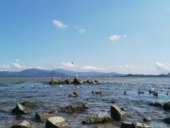 -深圳湾公园(南山区)