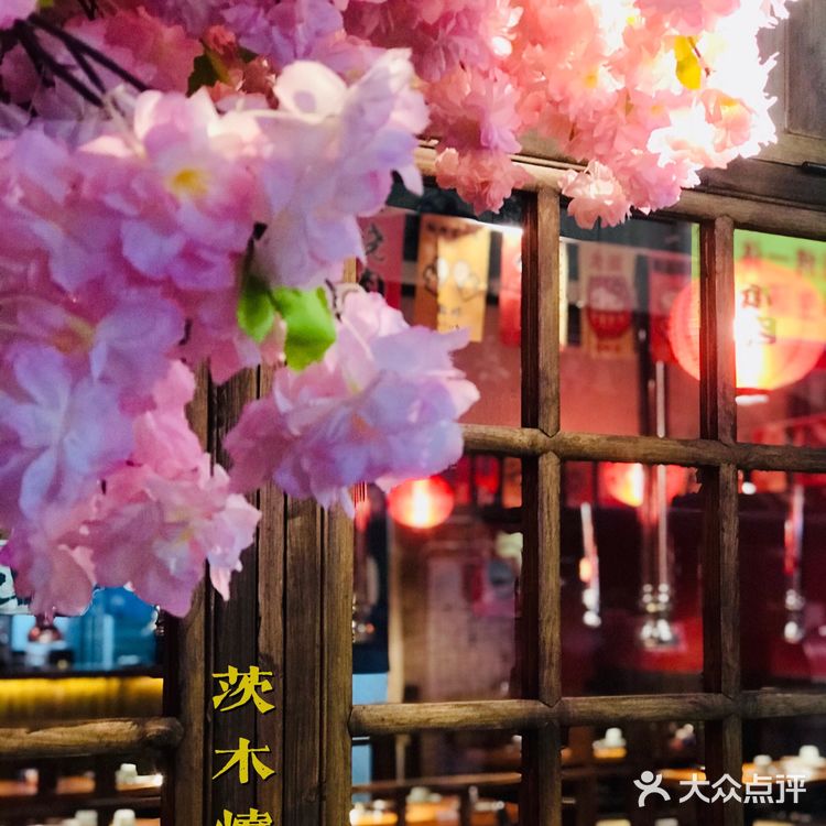 满树烂漫樱花下，炭火烤肉茨木烧