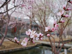 -三里河公园