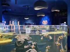 -欢乐海岸海洋奇梦馆