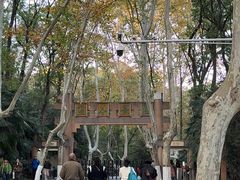 -灵谷景区