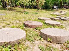 -鹅湖玫瑰文化园