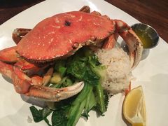 -Fish Hopper