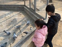 -意大利农场度假村