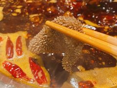 -飘香火锅(玉林西路店)