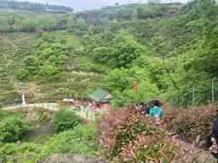 -磐安舞龙峡景区