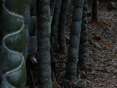 -黄公望隐居地