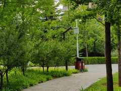 -大望京公园