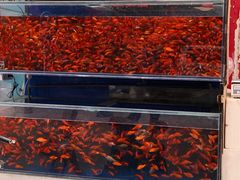 -华声天桥民俗文化园