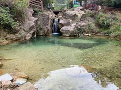 -南海湾森林生态园