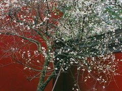 -钱王祠