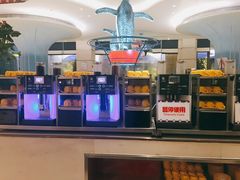 -帝企鹅自助餐厅•儿童岛•真企鹅(长隆企鹅酒店)