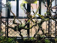 -北马山庄植趣咖啡