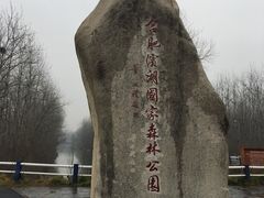 -合肥滨湖国家森林公园