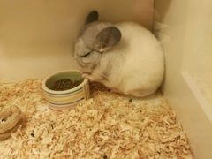 -龙猫仔乐园(惠福东路店)