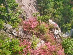 -罗田薄刀峰风景区